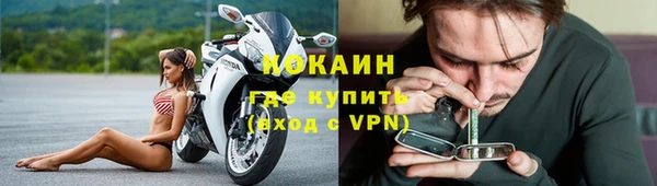 хмурый Арсеньев