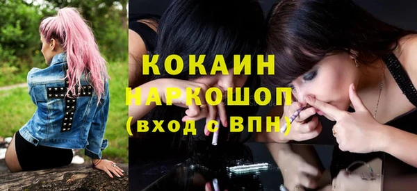 хмурый Арсеньев