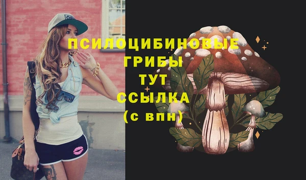прущие крисы Аркадак