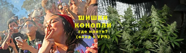 прущие крисы Армянск