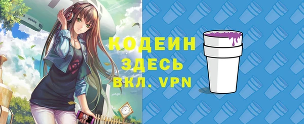 хмурый Арсеньев