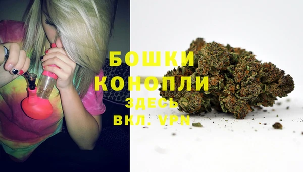 прущие крисы Армянск