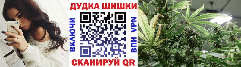 Бошки Шишки ГИДРОПОН Сосновый Бор